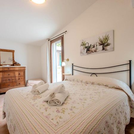 קסטליונה דלה פסקאיה Agriturismo Diaccia Botrona מראה חיצוני תמונה