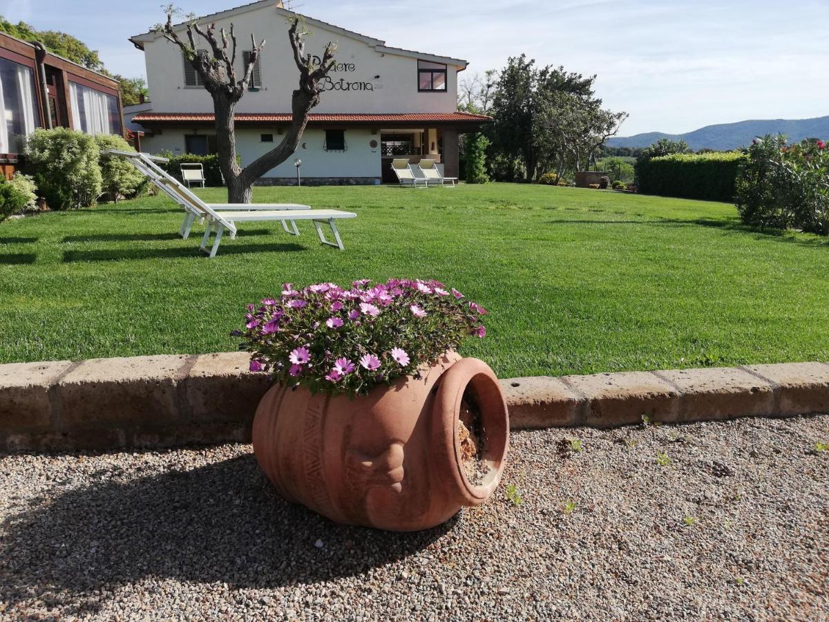 קסטליונה דלה פסקאיה Agriturismo Diaccia Botrona מראה חיצוני תמונה