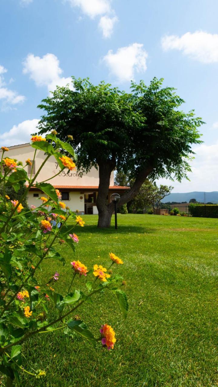 קסטליונה דלה פסקאיה Agriturismo Diaccia Botrona מראה חיצוני תמונה