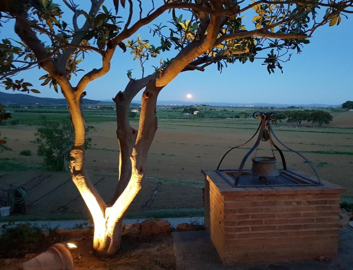 קסטליונה דלה פסקאיה Agriturismo Diaccia Botrona מראה חיצוני תמונה