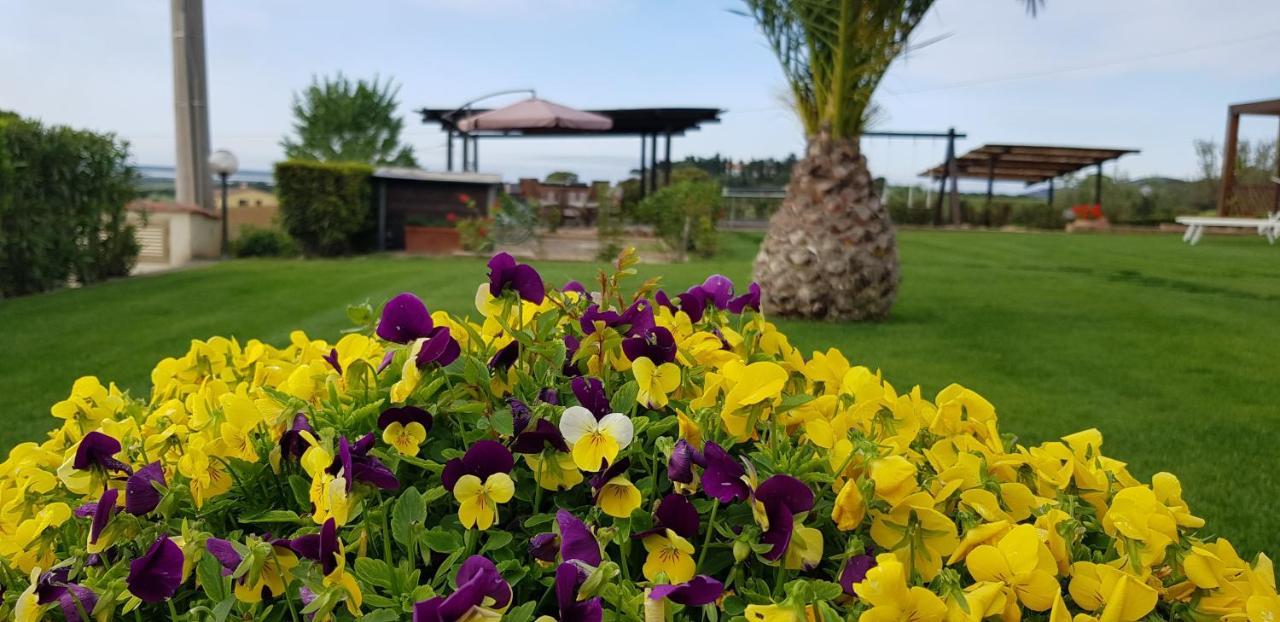 קסטליונה דלה פסקאיה Agriturismo Diaccia Botrona מראה חיצוני תמונה