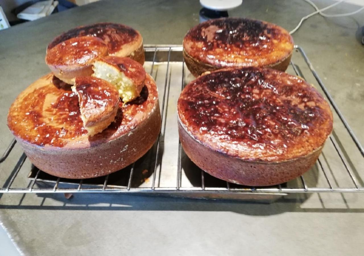 קסטליונה דלה פסקאיה Agriturismo Diaccia Botrona מראה חיצוני תמונה